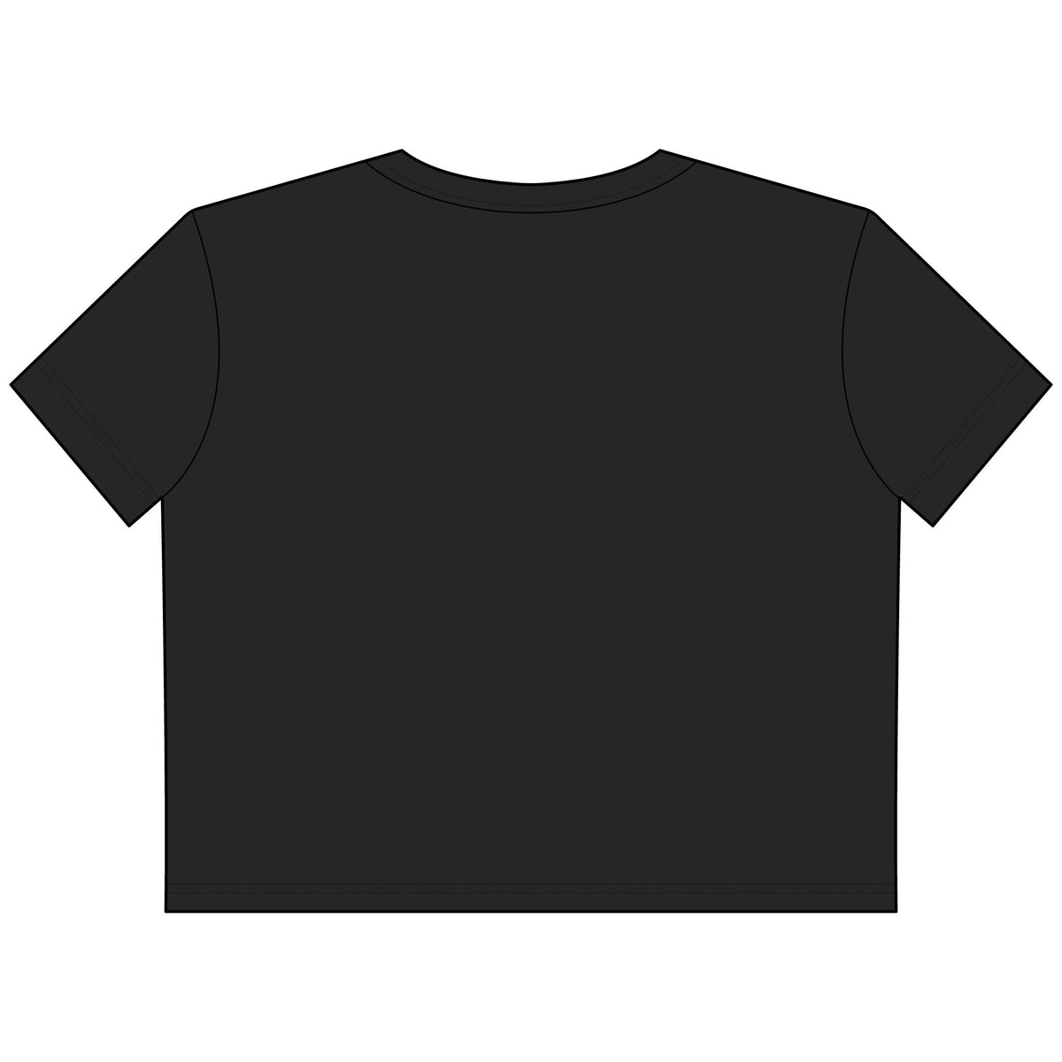Womens Crop Tee