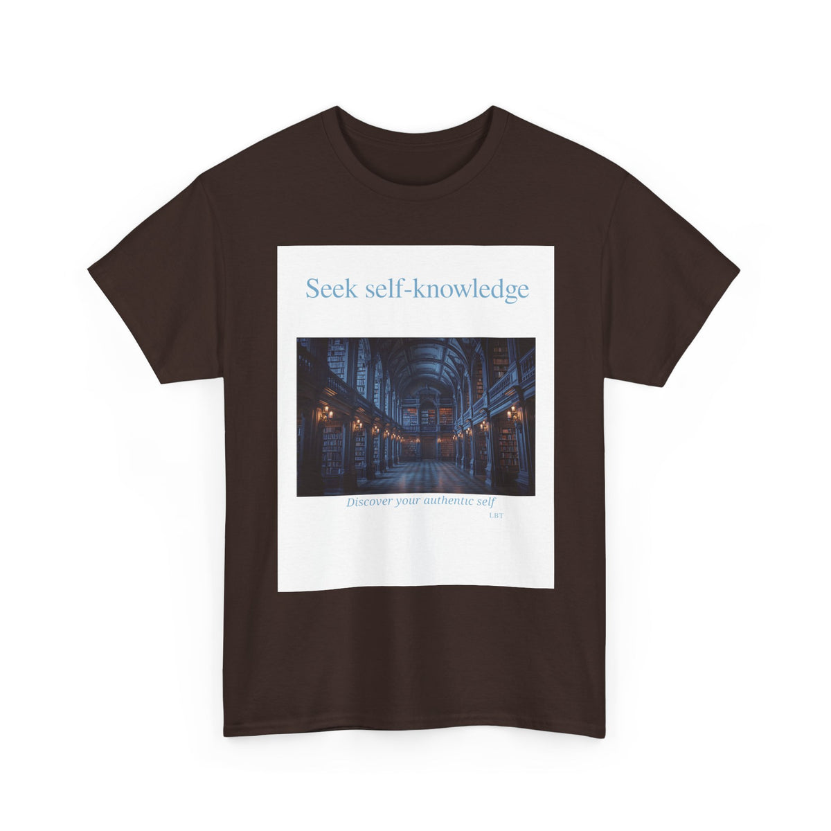 Seek Self-Knowledge T-Shirt — Moody Library Photo Graphic Tee