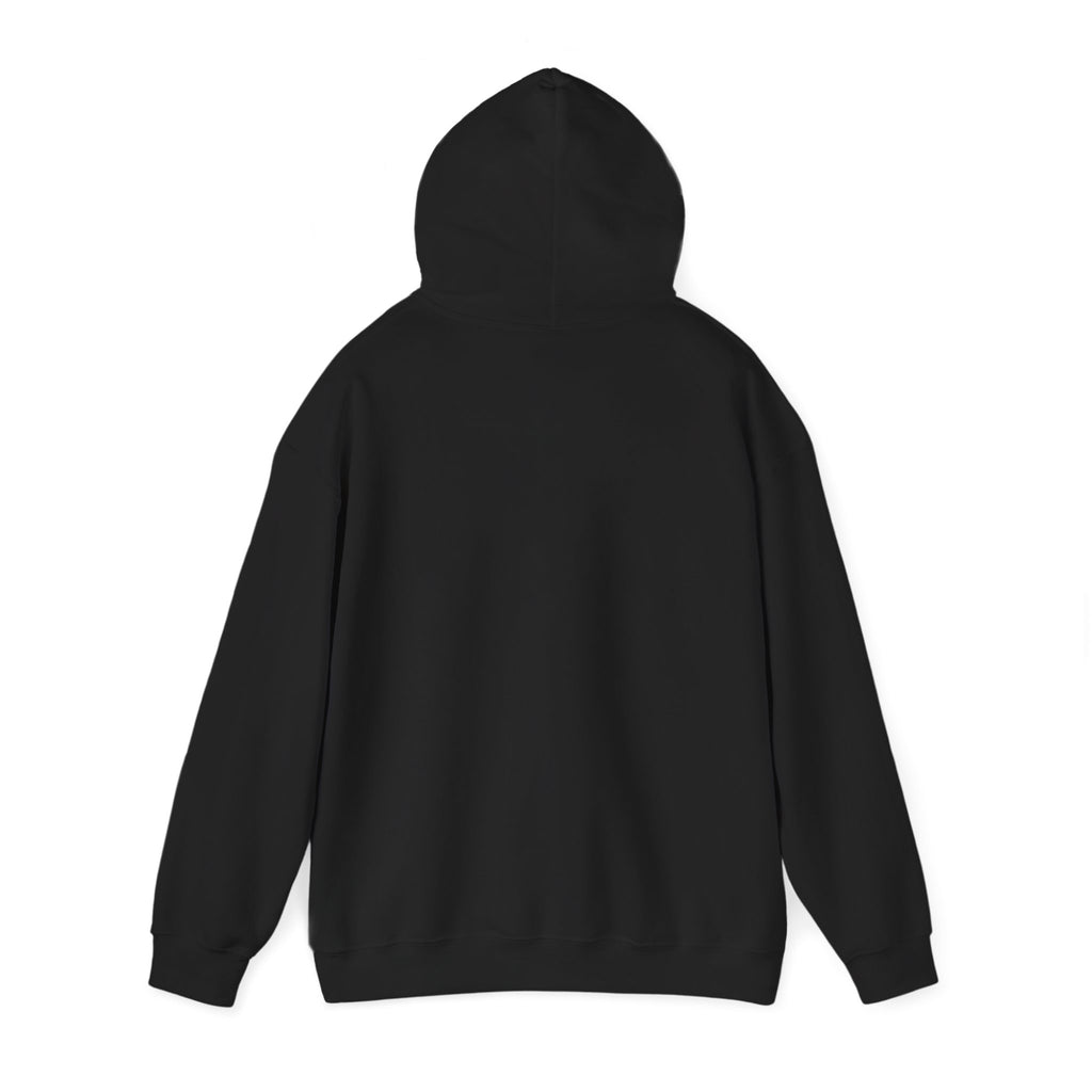A Little Box of Treasures Hooded Sweatshirt
