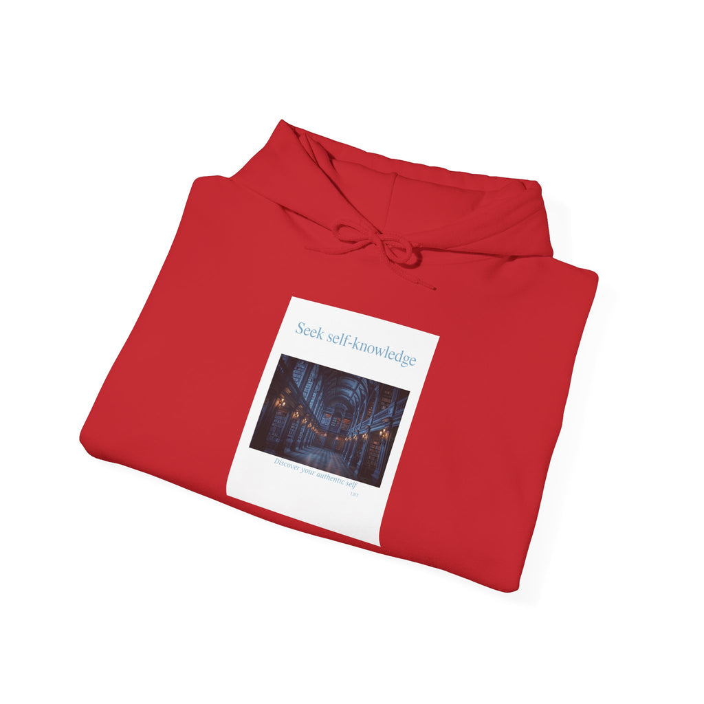 Seek Self-Knowledge Hoodie — Mystic Library Graphic Sweatshirt