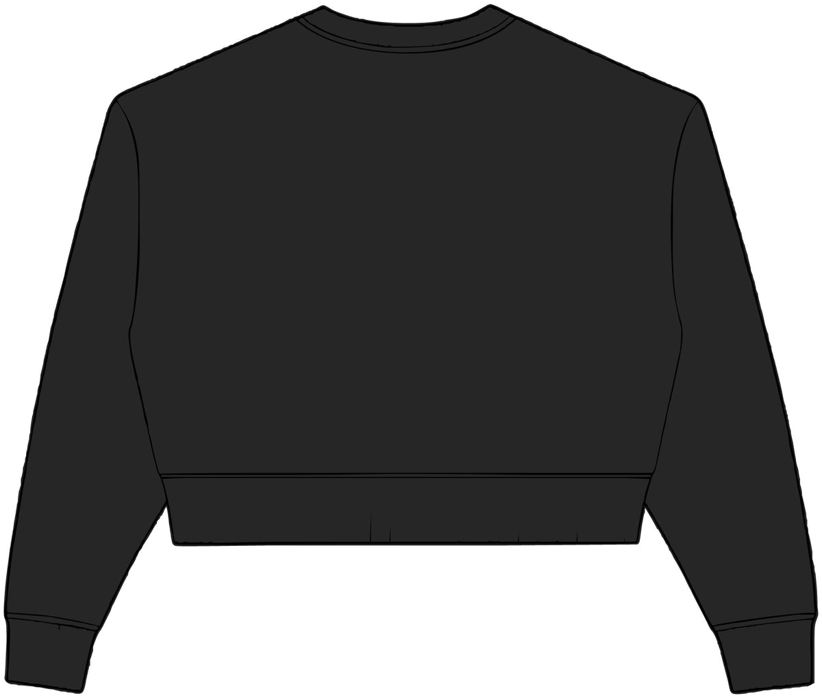 Womens Relaxed Crop Crewneck