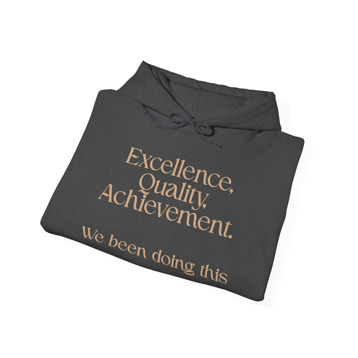 Excellence, Quality, Achievement Hoodie — "We been doing this" Motivational Pullover