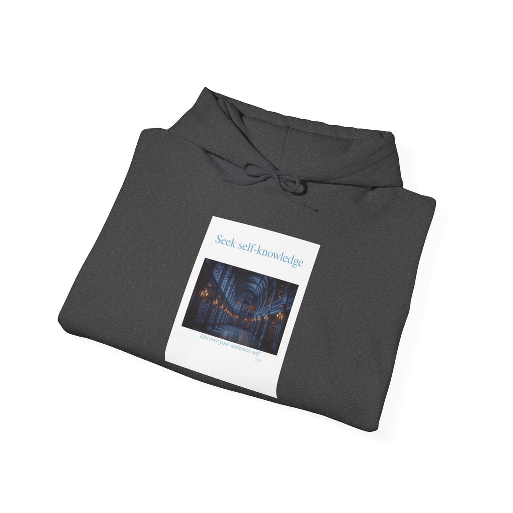 Seek Self-Knowledge Hoodie — Mystic Library Graphic Sweatshirt