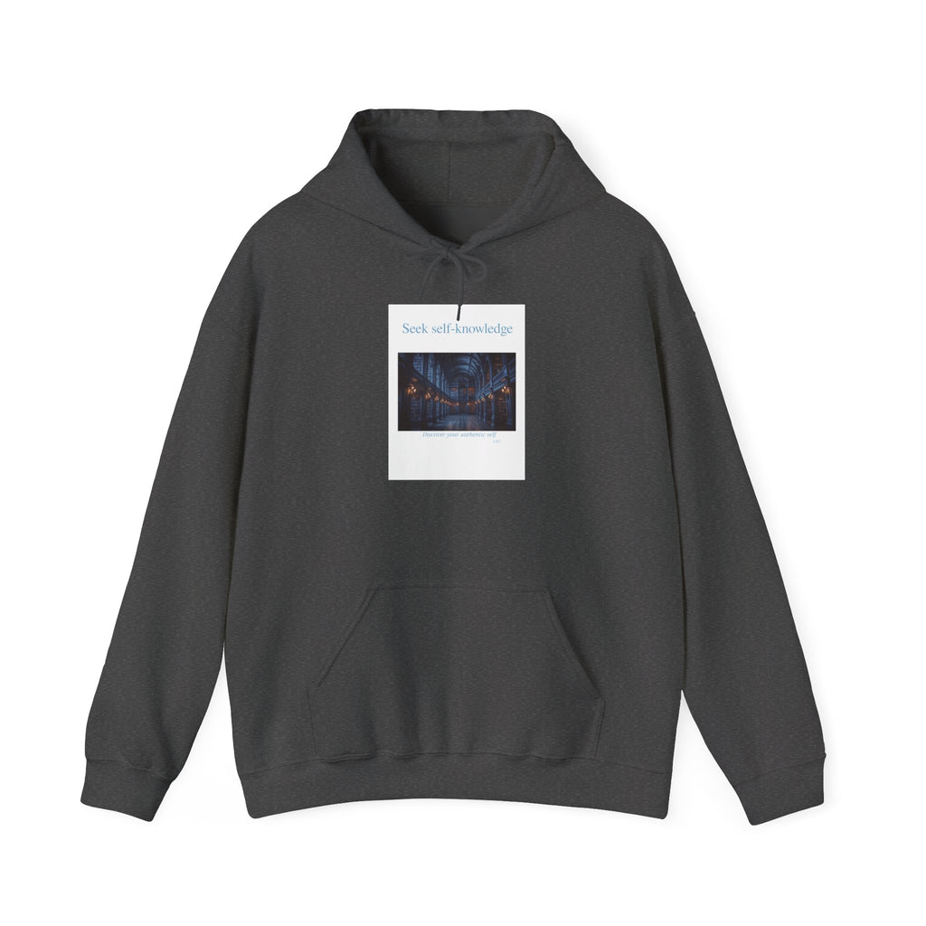 Seek Self-Knowledge Hoodie — Mystic Library Graphic Sweatshirt