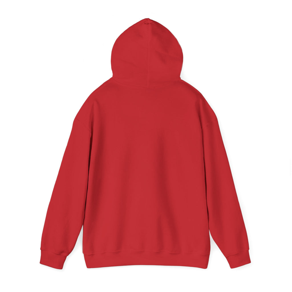Excellence, Quality, Achievement Hoodie — "We been doing this" Motivational Pullover