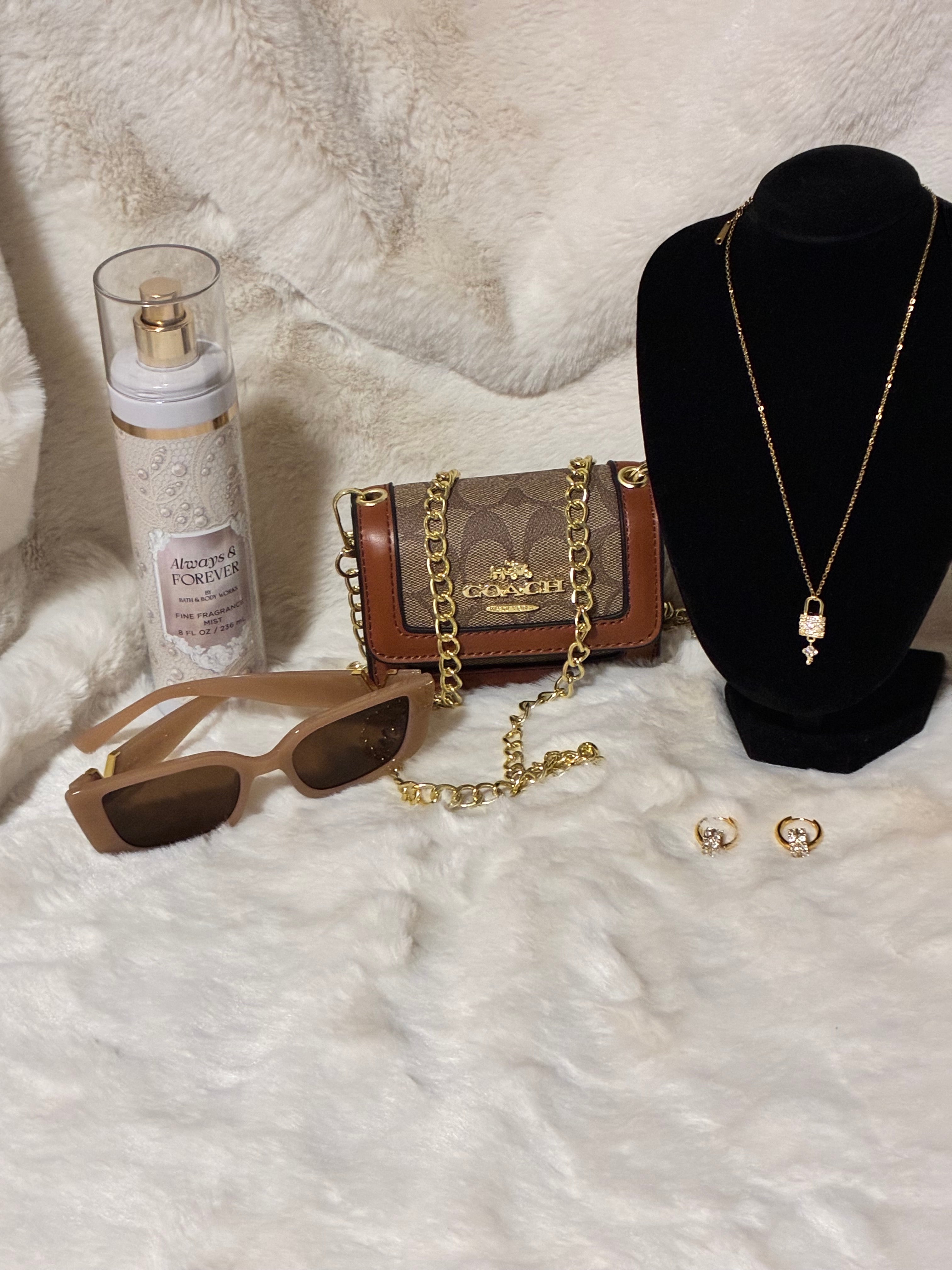 Brown Coach Mini Crossbody