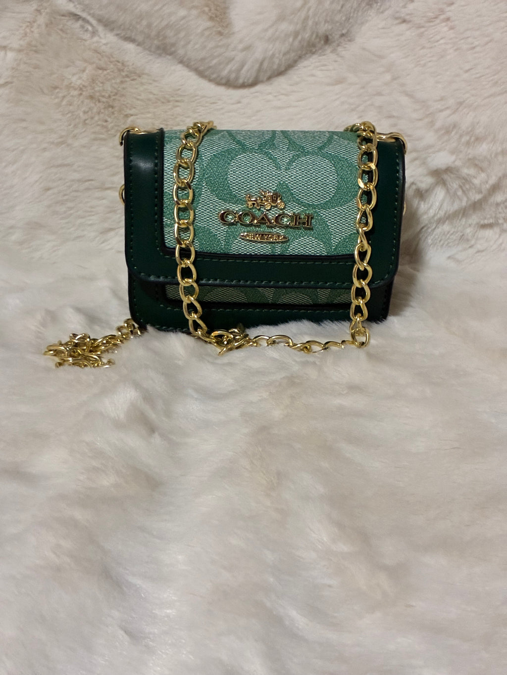 Green Coach Mini Crossbody